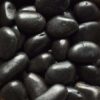black polished pebbles large 2 e1703197930424