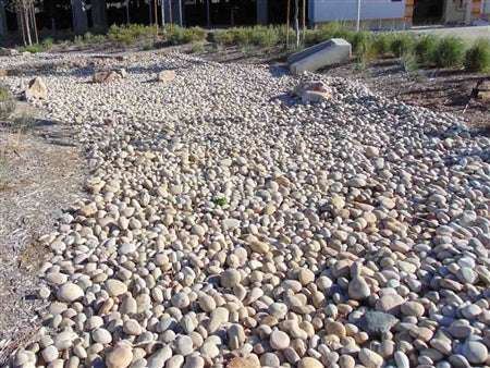bone mexican beach pebbles 3 5 extra large