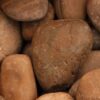 Arizona Sunburst Pebbles, 5"+ 3 Arizona Sunburst Pebble, 5"+