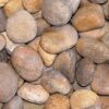 Baja Sunburst Pebble, ½-1"