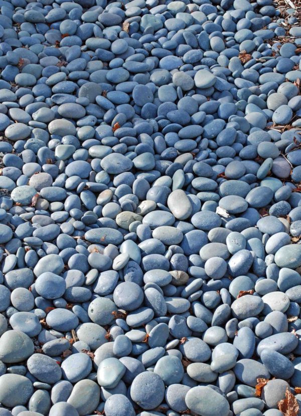 Mexican Beach Pebble - Black 1-2"