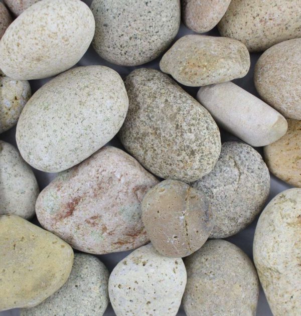 mexican beach pebbles bone 3 5 inch