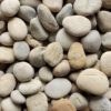 mexican beach pebbles bone medium 2 3