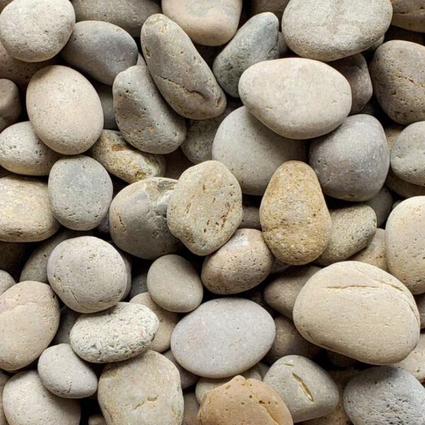 mexican beach pebbles buff 2 to 3
