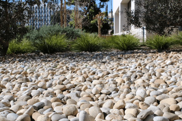 mexican beach pebbles buff install garden