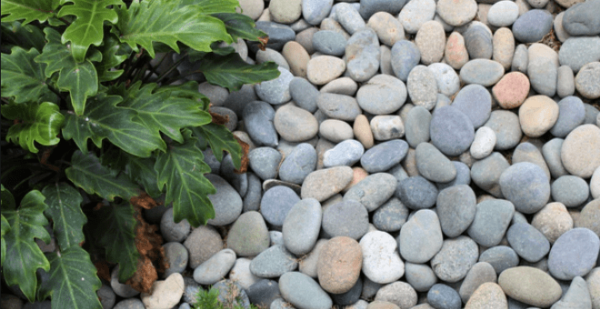 mexican beach pebbles mixed 3 5 inch 10