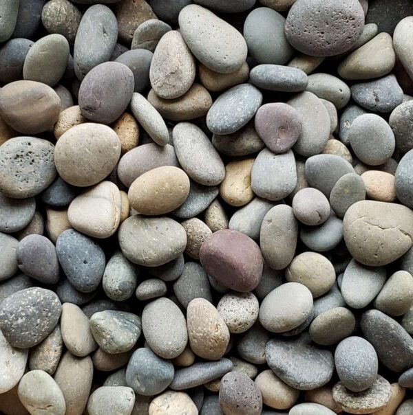 mixed mexican beach pebbles 2 3 inch photo