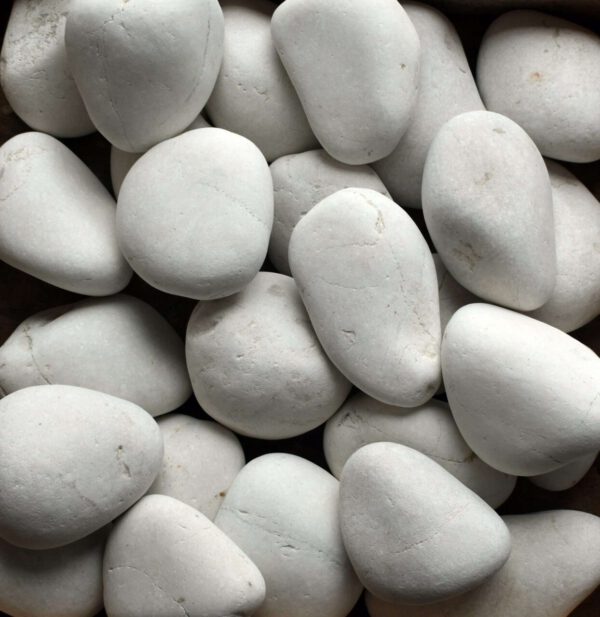 natural beach pebbles ivory medium 1 e1703271926408