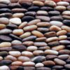 Standing Polished Mixed Pebble Tile, 4"x12"