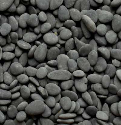 Black Mexican Beach Buttons, 1" - 1 1/2"