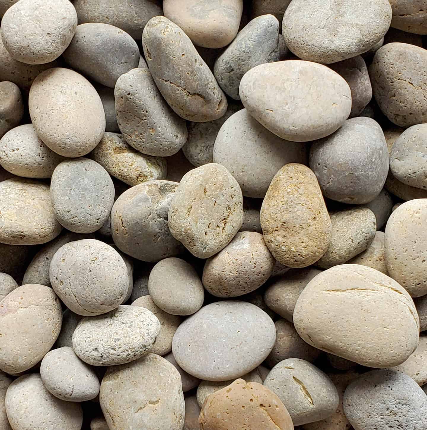 Buff Mexican Beach Pebbles, 1/2"- 1" 1 Buff Mexican Beach Pebbles, 1/2"- 1"